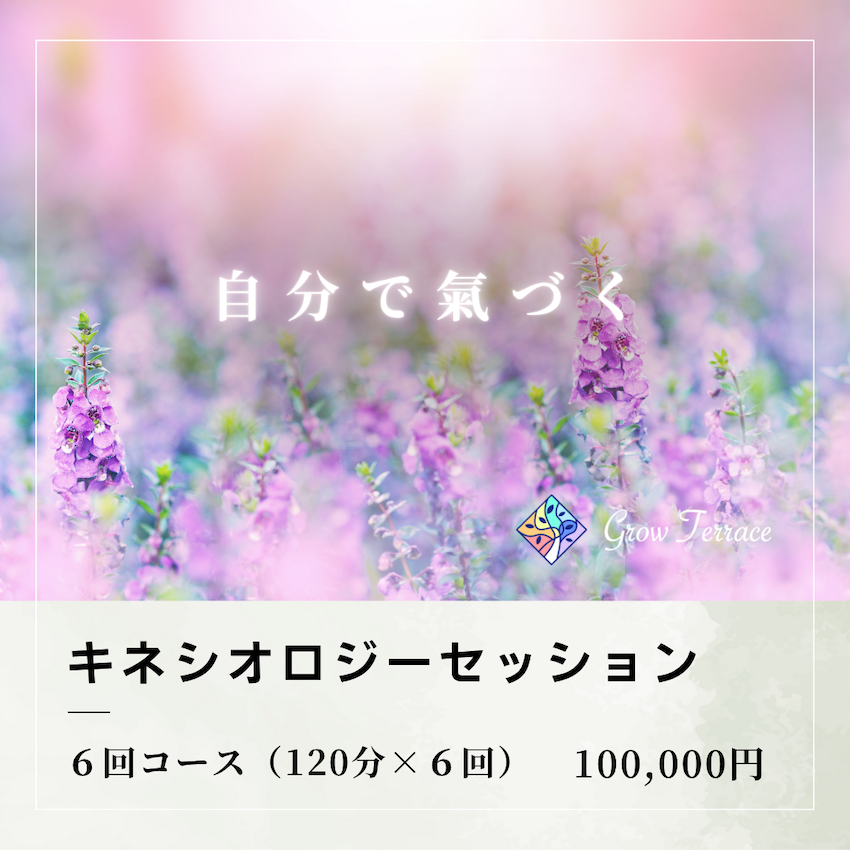 キネシオロジーセッション6回コース