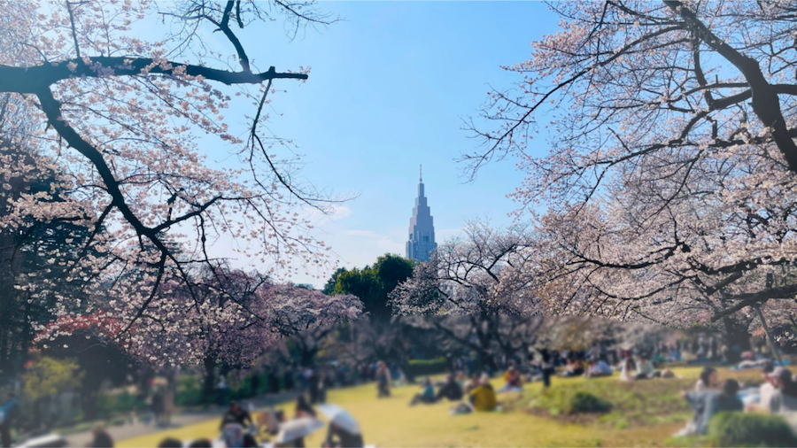 新宿御苑