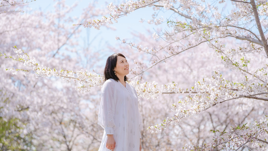 かしわのみゆきの桜の写真