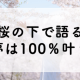 桜の下で語る夢は100％叶う